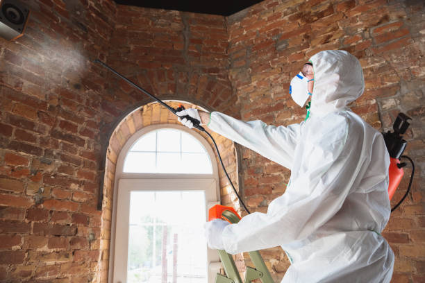 Best Mold Removal for HVAC Installations  in Newbern, TN