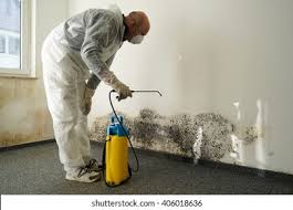 Reliable Newbern, TN Mold Removal & Remediation Solutions